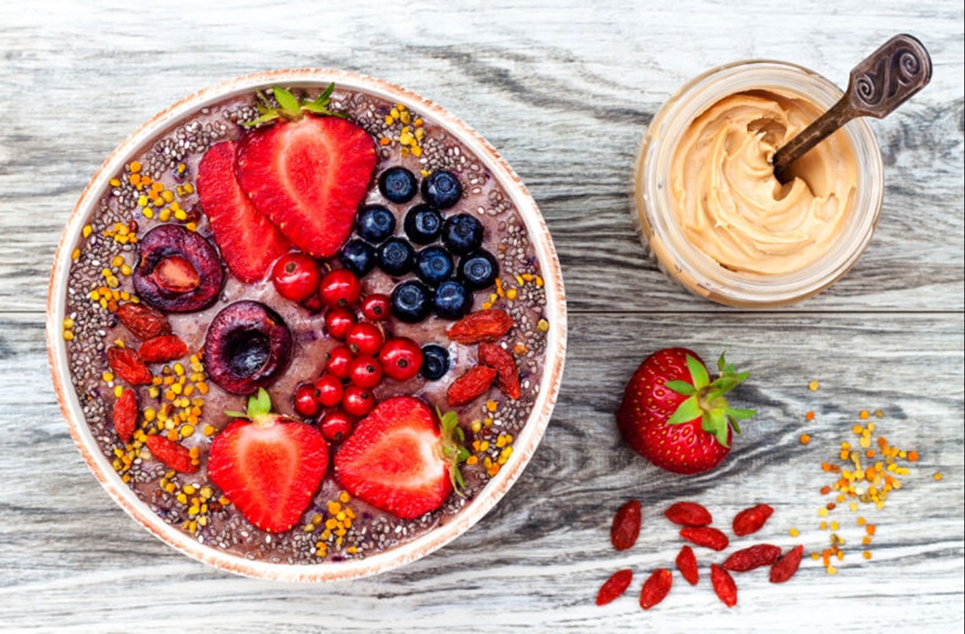 Vegan & Vegetarian Gut Bacteria Probiotics Learning Lab